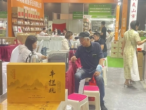 茶博会|2026天津茶博会